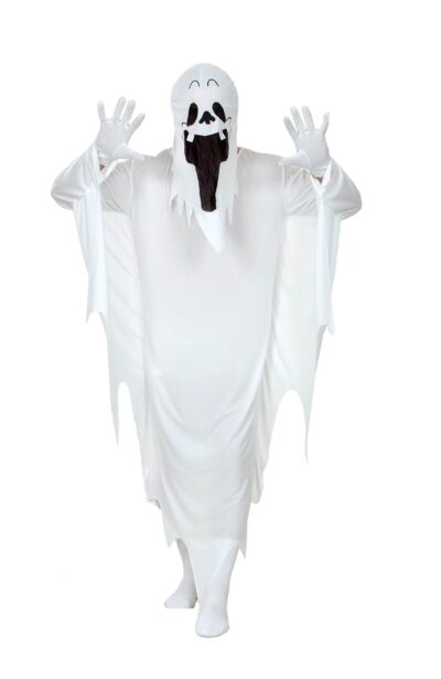 Kostim Duh kostimi za odrasle 825508