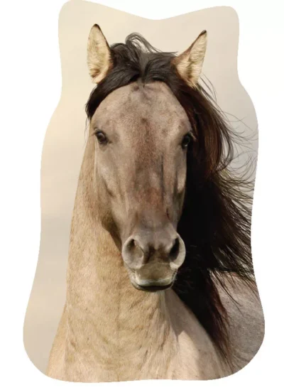 Jastuk Brown Horse 40x23 cm ukrasni jastuk 58779