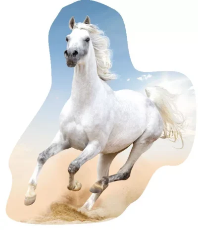 Jastuk White Horse 43x30 cm ukrasni jastuk 58762