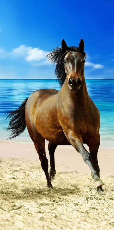 Konj ručnik za plažu 70x140 cm 11786