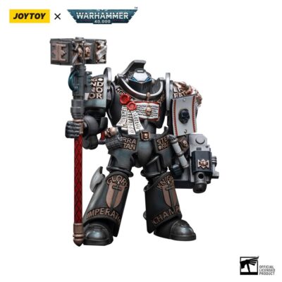 Warhammer 40k Grey Knights Terminator Caddon Vibova Action Figure 13 cm JT3228