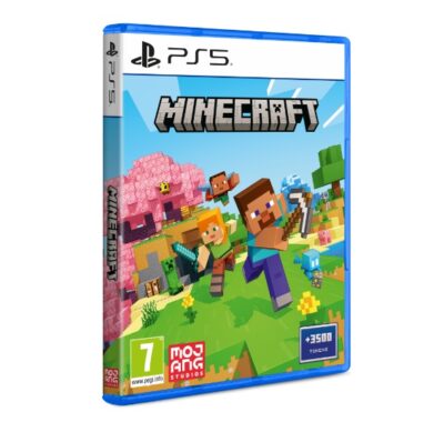 Minecraft PS5 11741