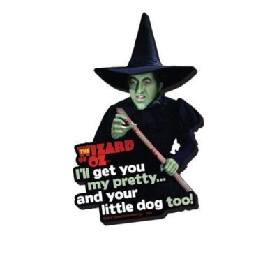 The Wizard Of Oz Funky Chunky Magnet Za Frižider I'll Get You...