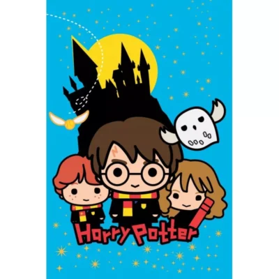 Harry Potter Flis Deka 100×150 Cm