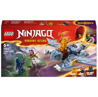 Lego Ninjago 71810 Mladi zmaj Riyu