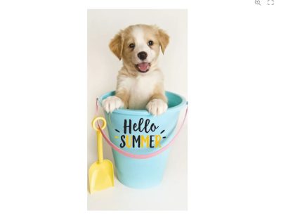 C:\Users\Lucija\Desktop\Dog Hello Summer ručnik za plažu 70×140 cm.jpg