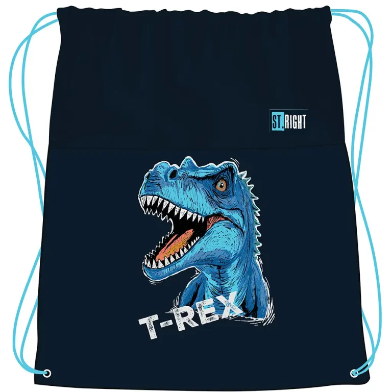 Plavi T-Rex sportska Vreća za Papuče 43x34 cm