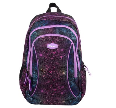 Školski ruksak Karbon Mystery 45 cm 242433