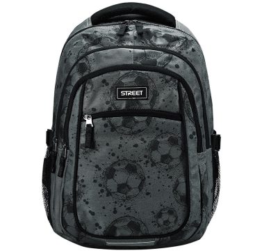 Školski ruksak Street Infinity Crome 45 cm 24336