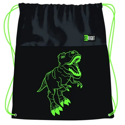 Zeleni T-Rex sportska Vreća za Papuče 43x34 cm