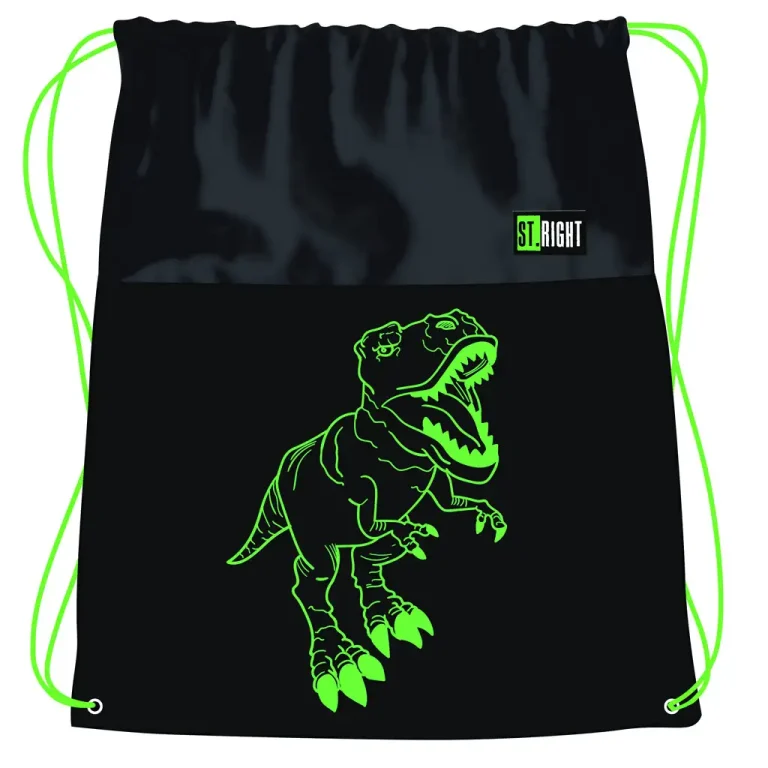Zeleni T-Rex sportska Vreća za Papuče 43x34 cm